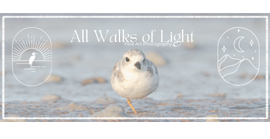 All Walks of Light Fine Art Photography