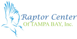 Raptor Center of Tampa Bay