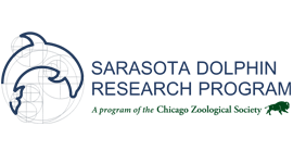 Chicago Zoological Society's Sarasota Dolphin Research Program
