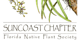 Suncoast Chapter of the Florida Native Plant Society